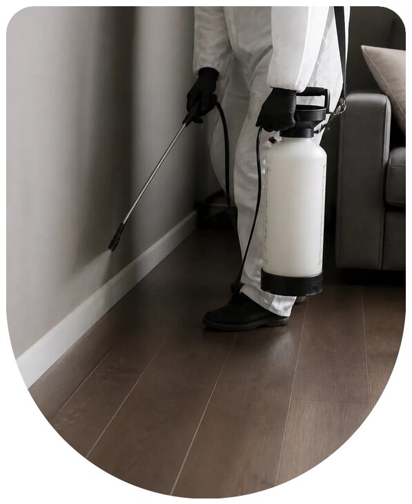 Профессиональная обработка дома от блох с гарантией в Канске
