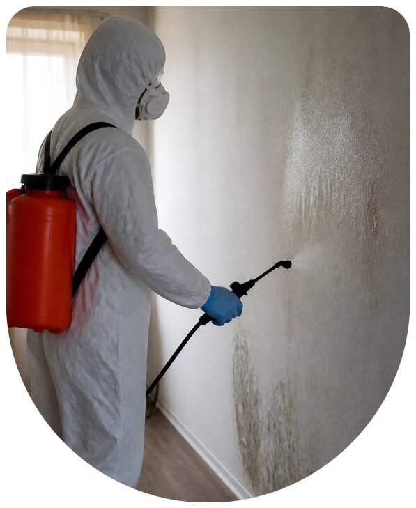 Профессиональная очаговая дезинфекция помещений в Канске